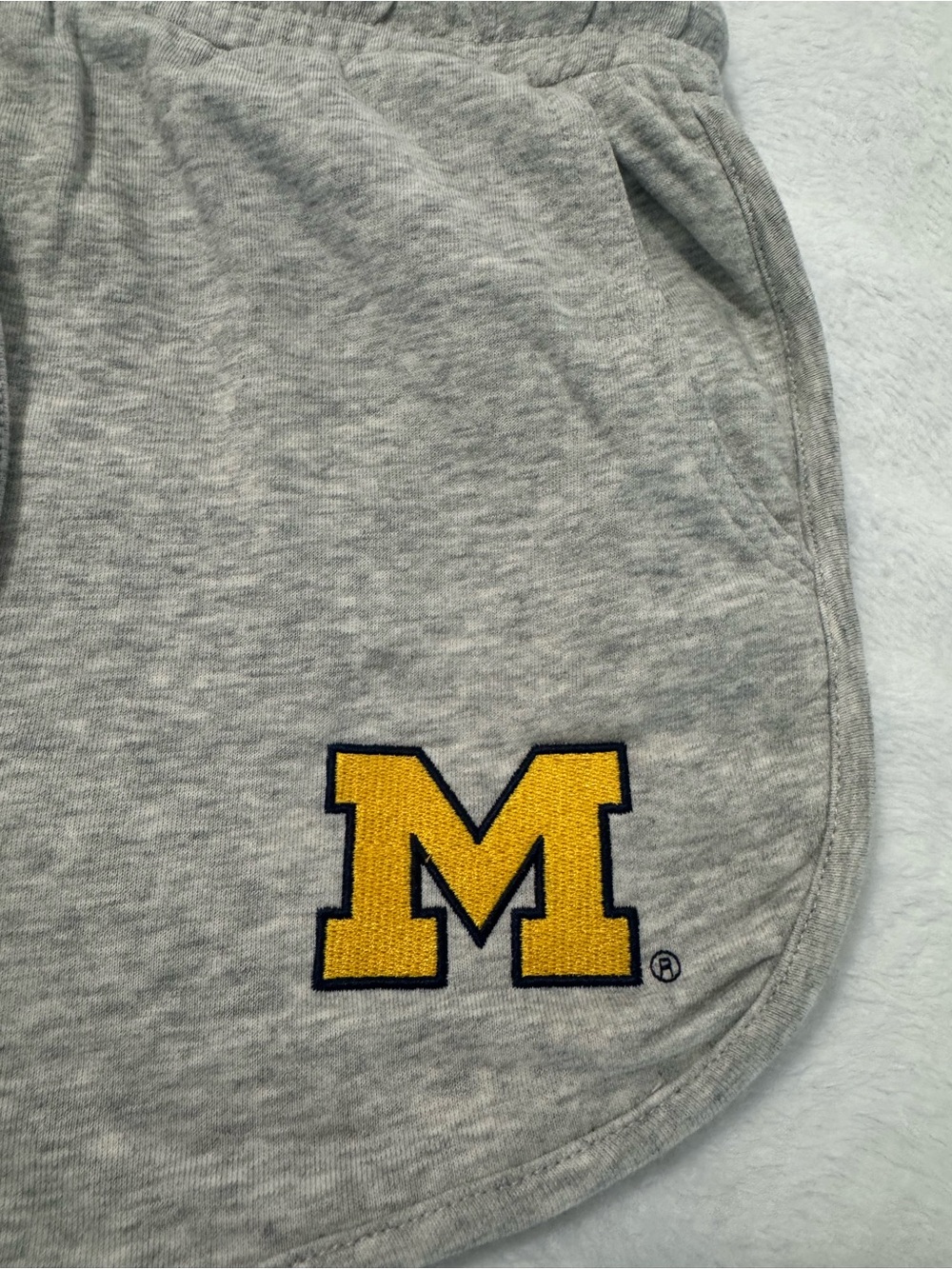 Hype & Vice Michigan Heather Gray Fleece Shorts Size L - Picture 2 of 5